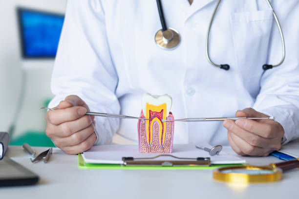 Best Same-Day Emergency Dental Services in Lake Leann, MI
